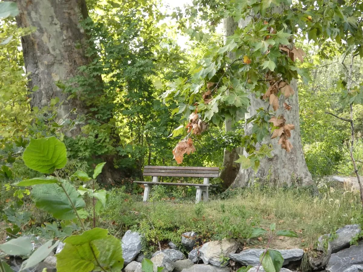 Höstbilder 2 (2026)